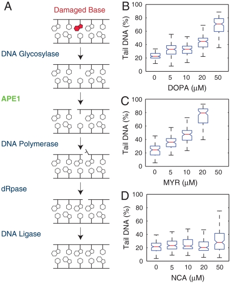 Fig. 6.