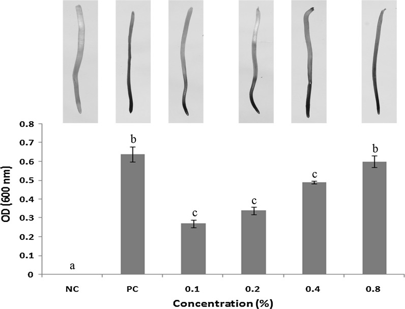 Fig. 4