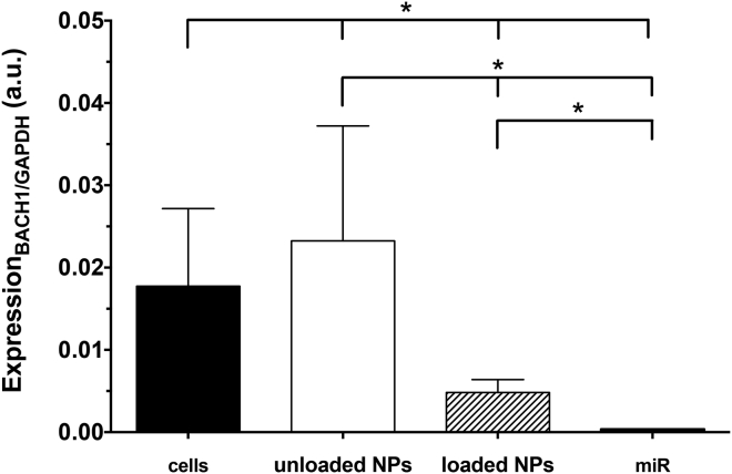 Figure 10