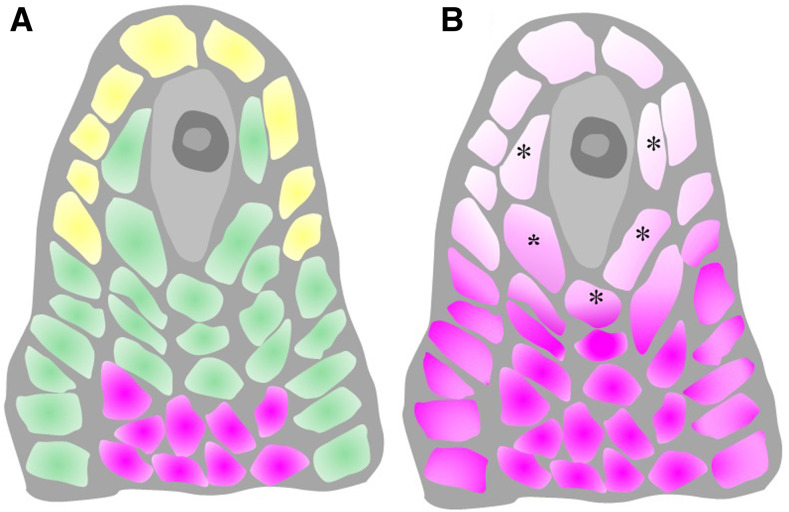 Figure 7.