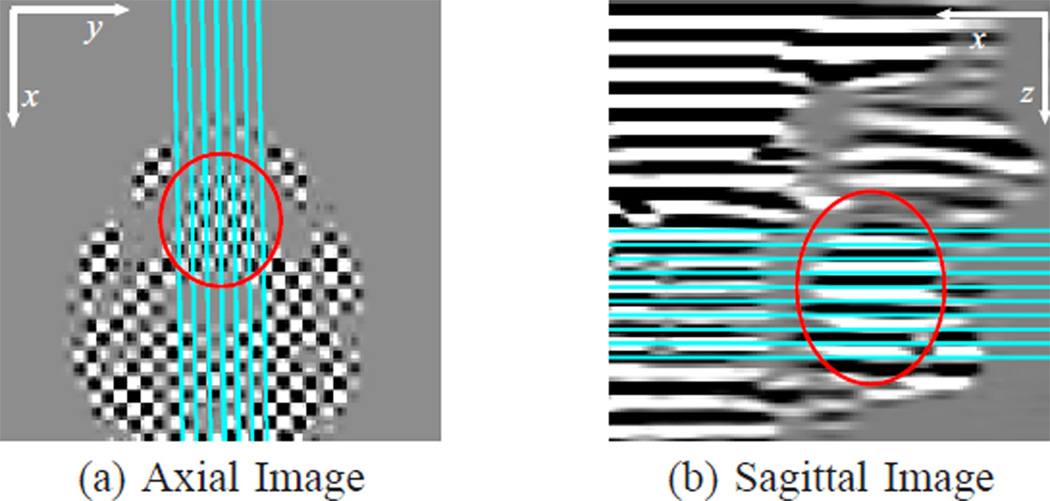 Fig. 18