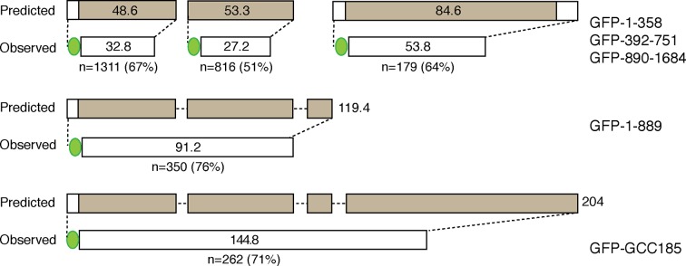 Figure 3—figure supplement 4.