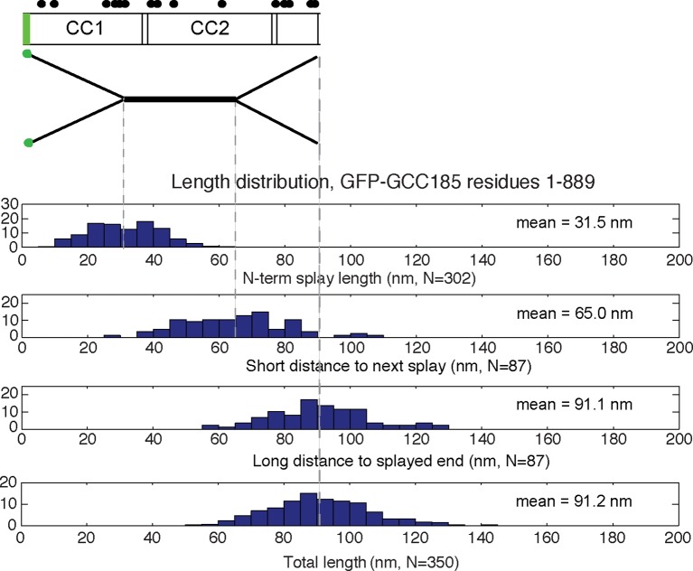 Figure 3—figure supplement 2.