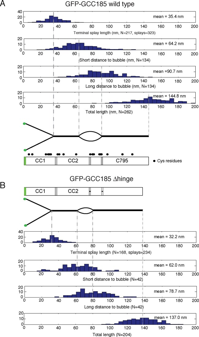 Figure 3—figure supplement 1.