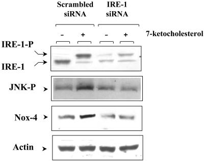 FIG. 9.