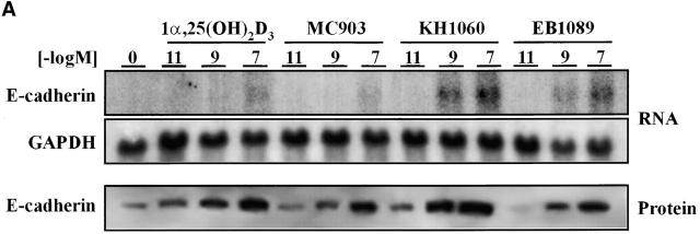 Figure 10.