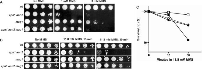 Figure 4.