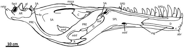 Figure 27