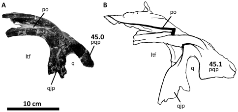 Figure 42