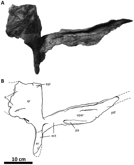 Figure 20