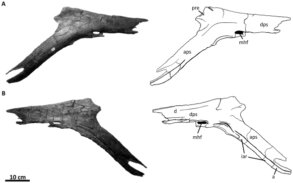 Figure 29