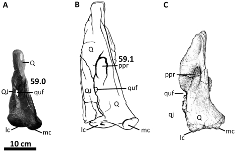 Figure 44