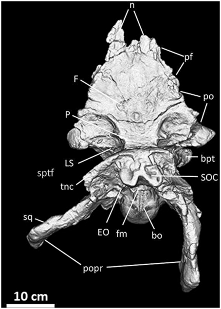 Figure 14