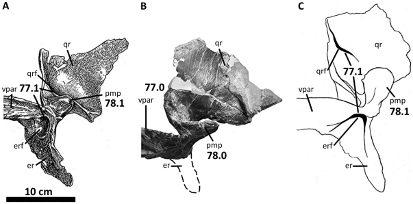 Figure 46