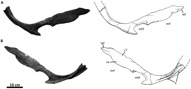 Figure 30