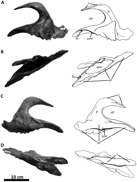 Figure 25