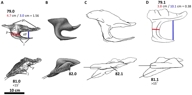 Figure 47