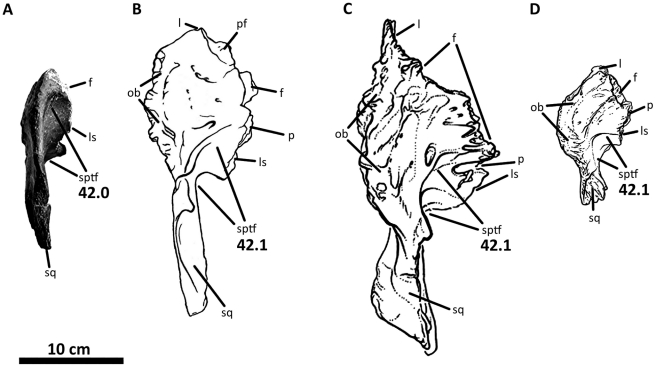 Figure 41