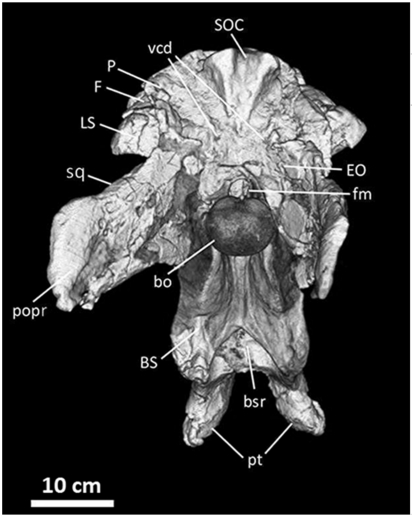 Figure 15