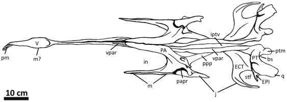 Figure 19