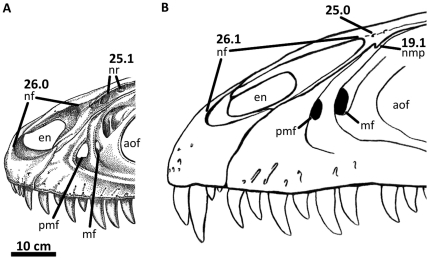 Figure 36