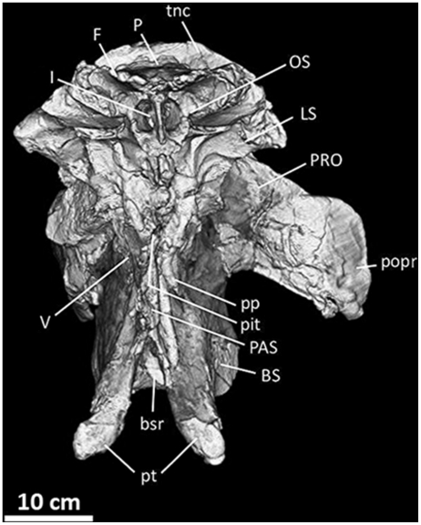 Figure 13