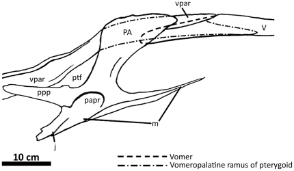 Figure 22