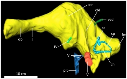 Figure 17