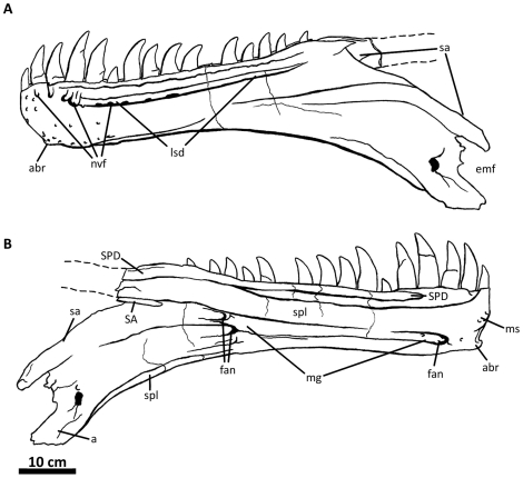 Figure 28