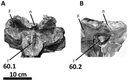 Figure 45