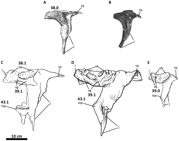 Figure 40