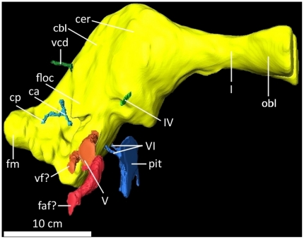 Figure 18