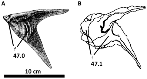 Figure 43