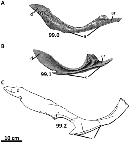 Figure 50