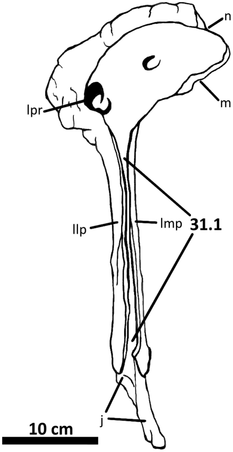 Figure 37