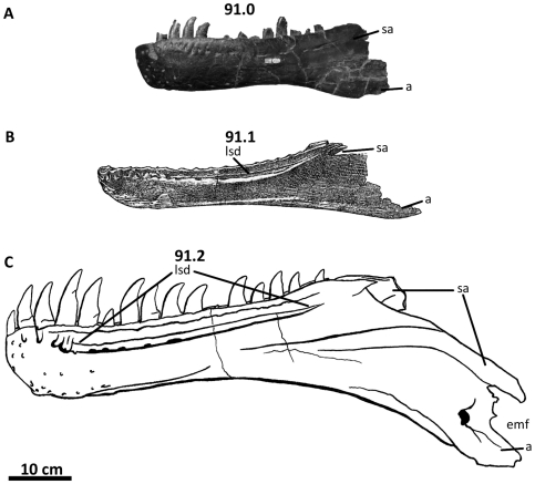 Figure 49