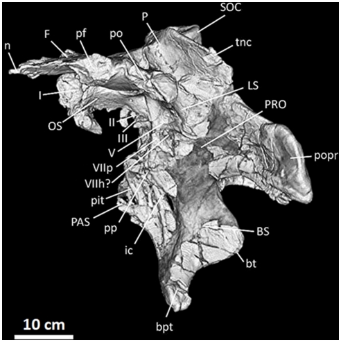 Figure 12