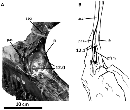 Figure 34