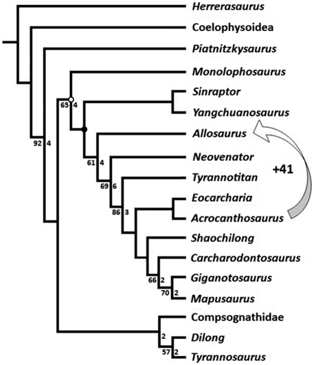 Figure 51