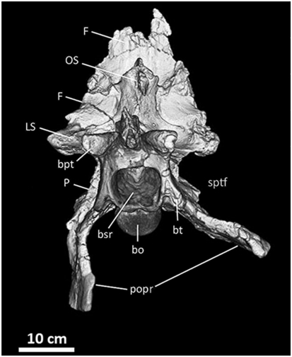 Figure 16