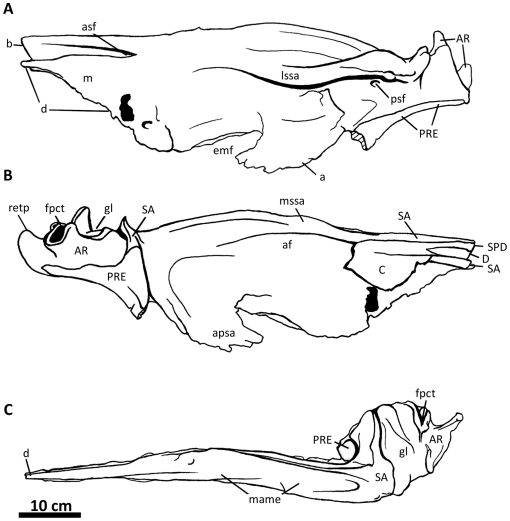 Figure 32