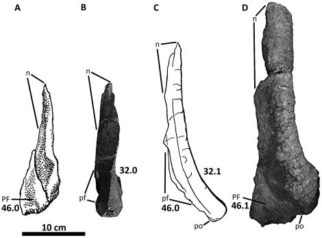 Figure 38