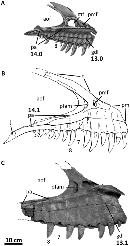 Figure 35