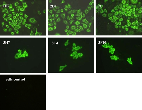 FIG. 2.