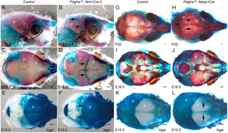 Fig. 6.