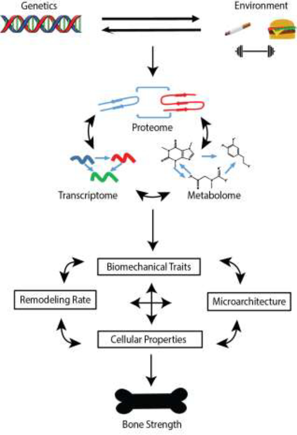 Figure 1, Key Figure.