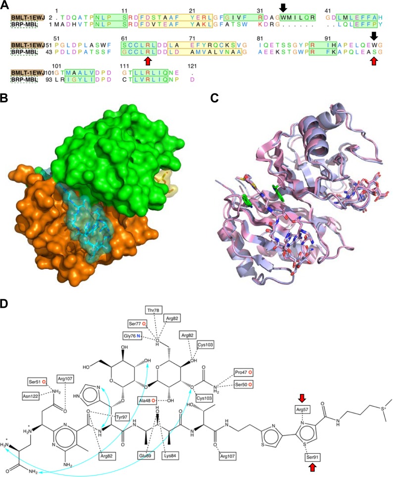 FIG 4