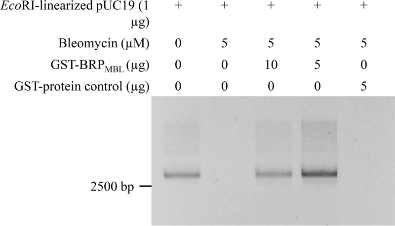 FIG 3