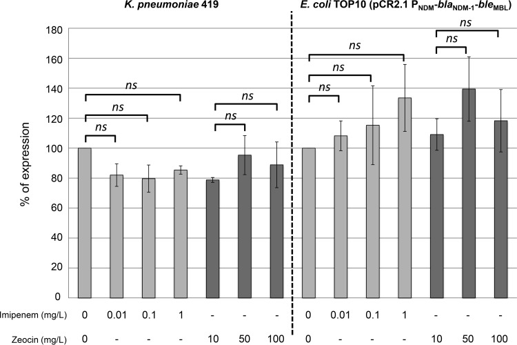 FIG 1