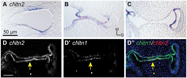 Fig. 3.